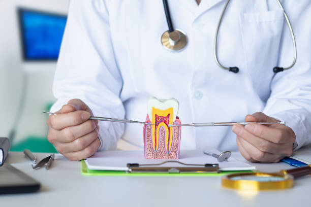 Best Emergency Root Canal Treatment in Harrogate, TN